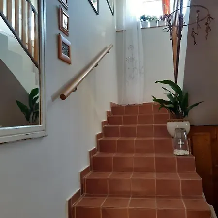 Guest house Nora 2*
